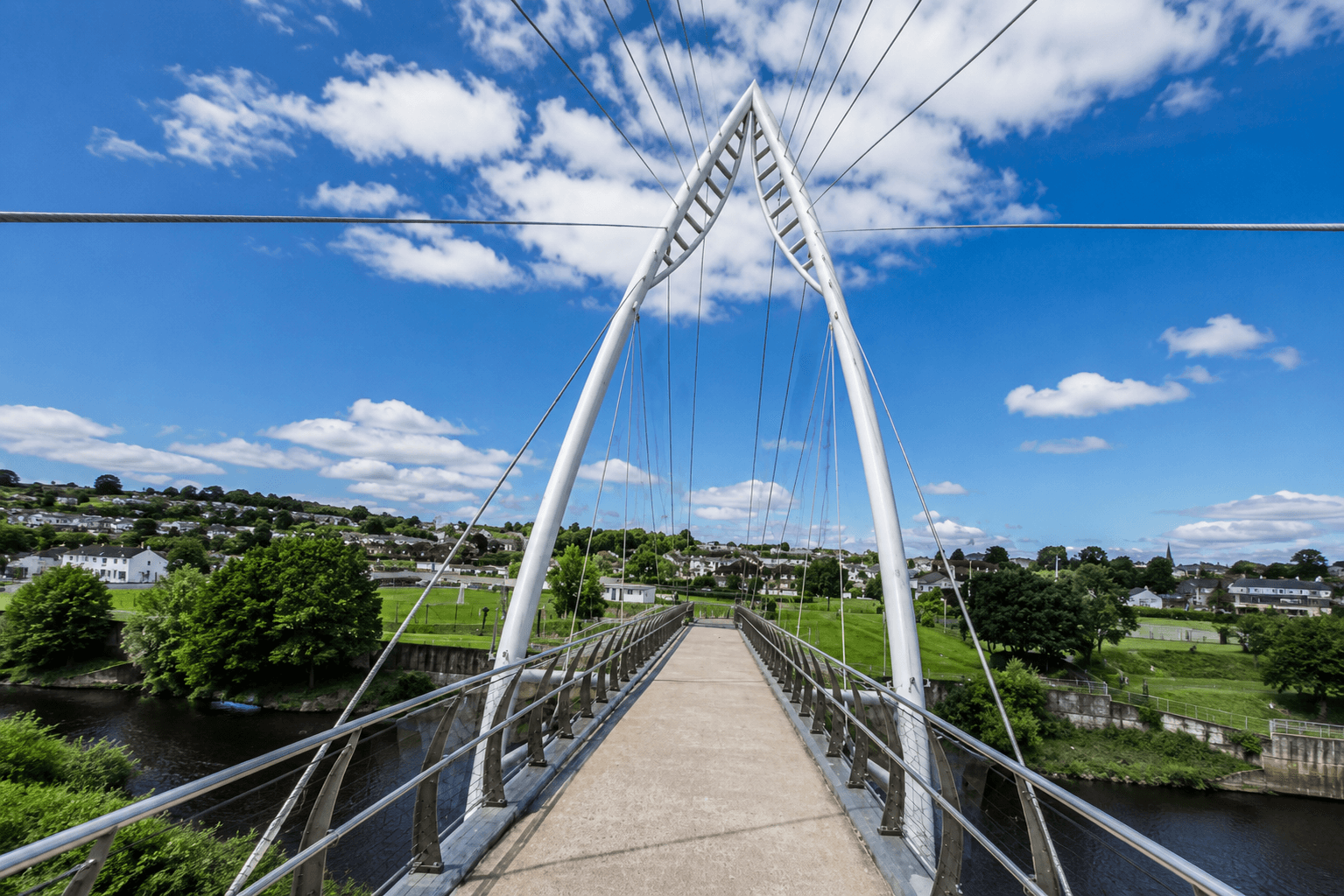 Tackling Invasive Species in Derry & Strabane