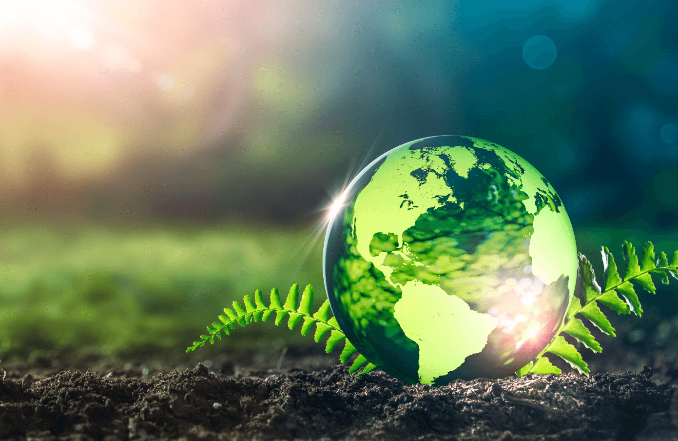 Expanding Work on the Environment Act 2021