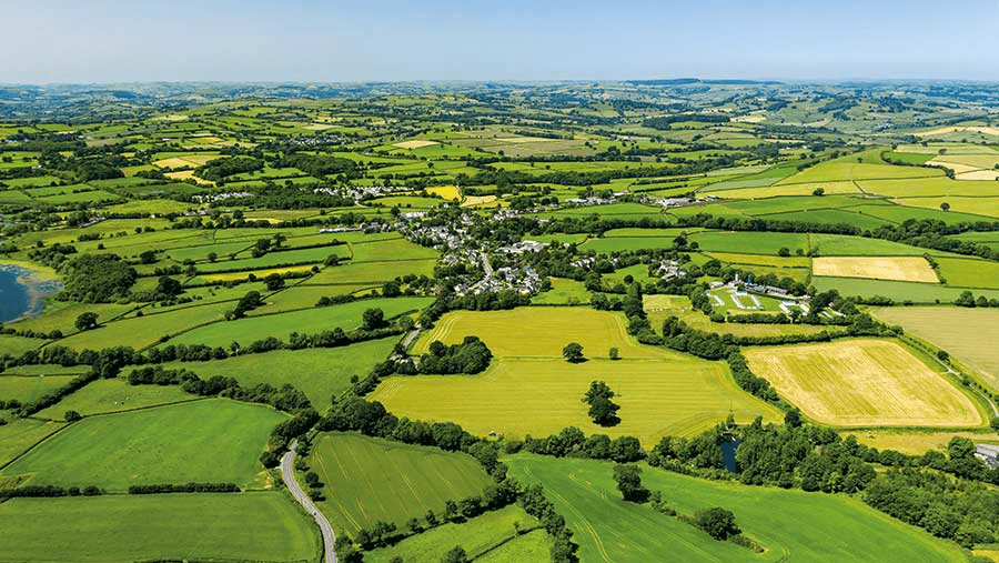 Appointed to Support Welsh Government on Land Valuation